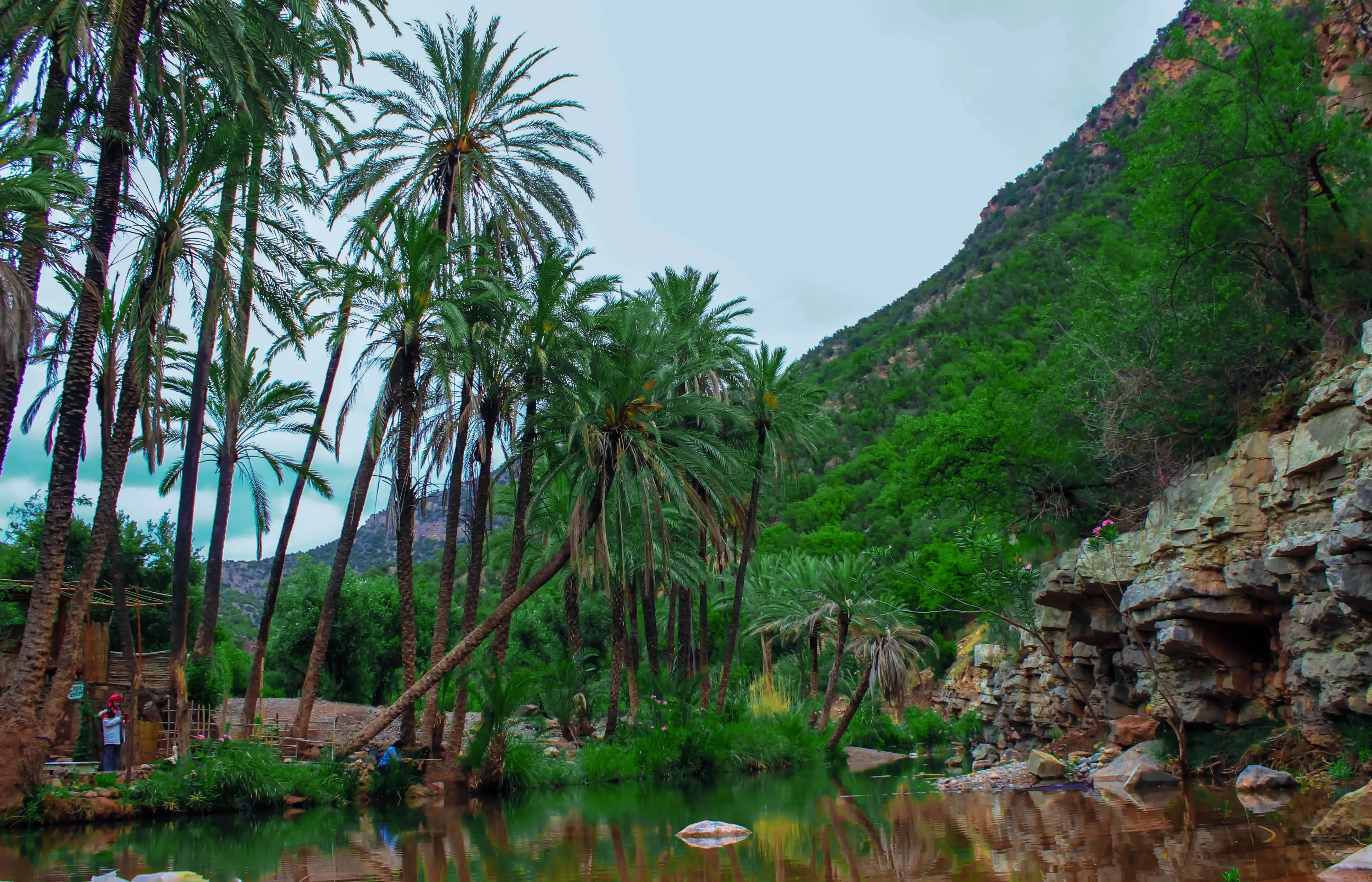 Agadir to Paradise Valley Day Trip Nature Tour